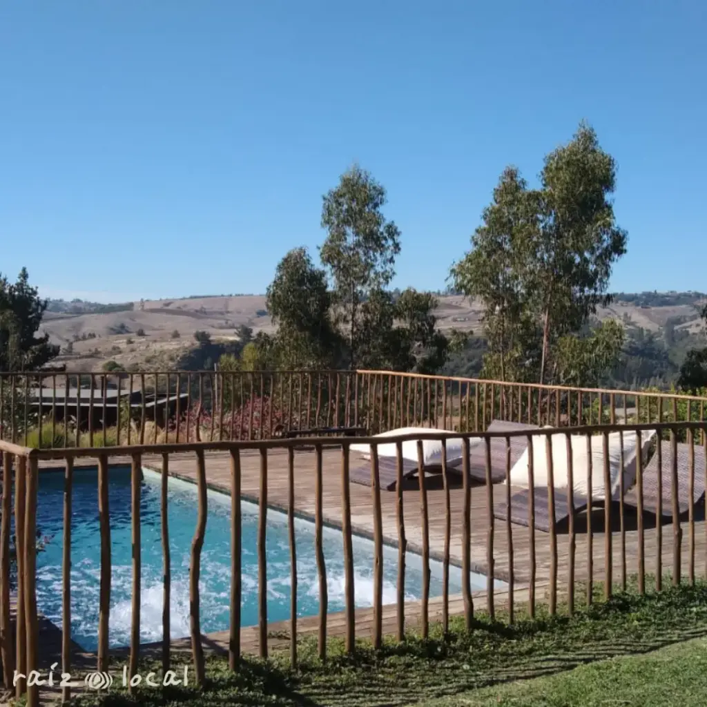 BASACOTE 6M (4).webp