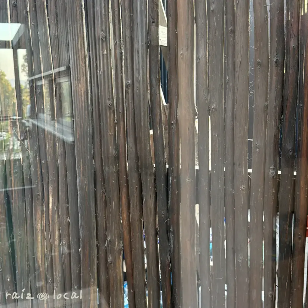 BASACOTE 6M (3).webp