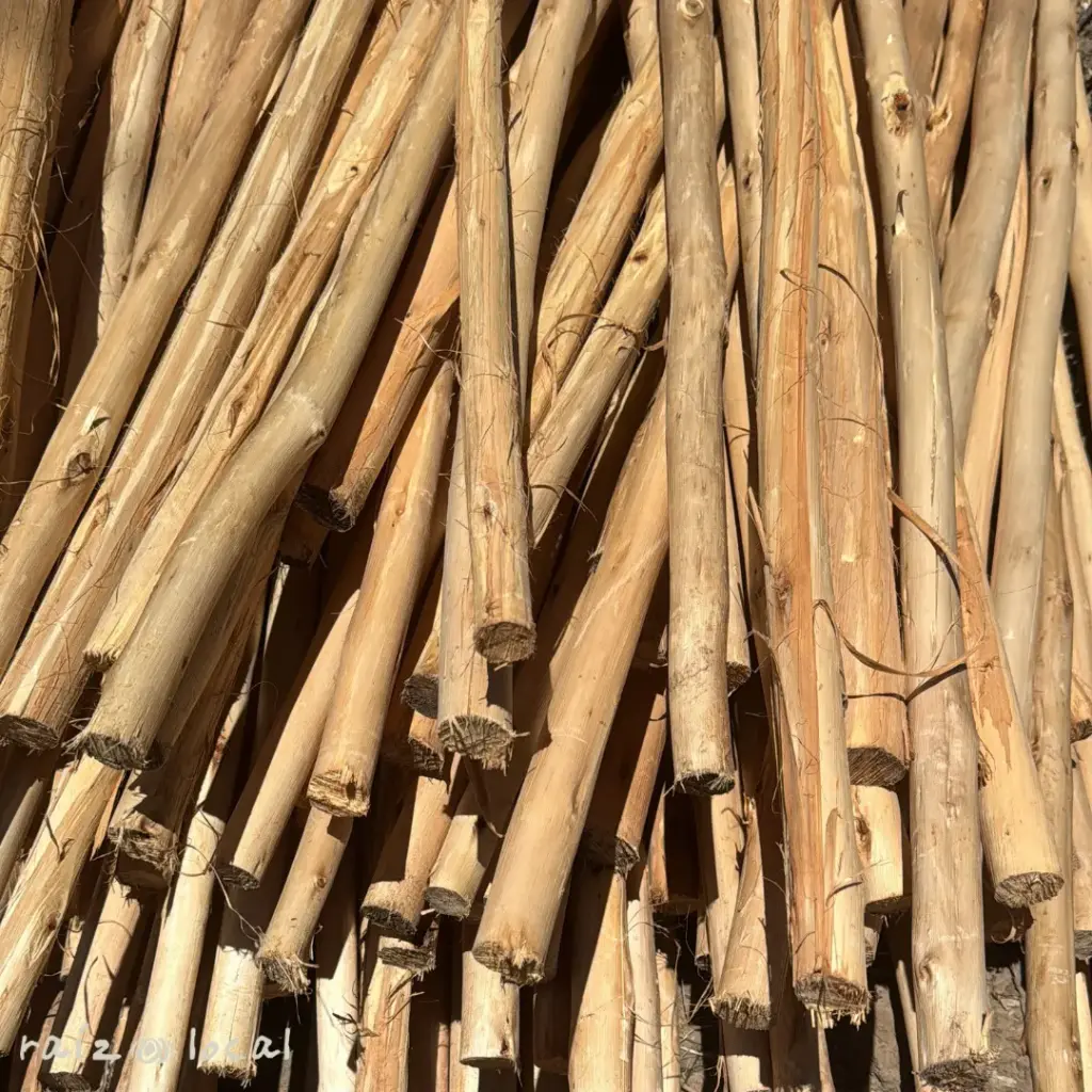 BASACOTE 6M (2).webp