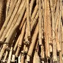 BASACOTE 6M (2).webp