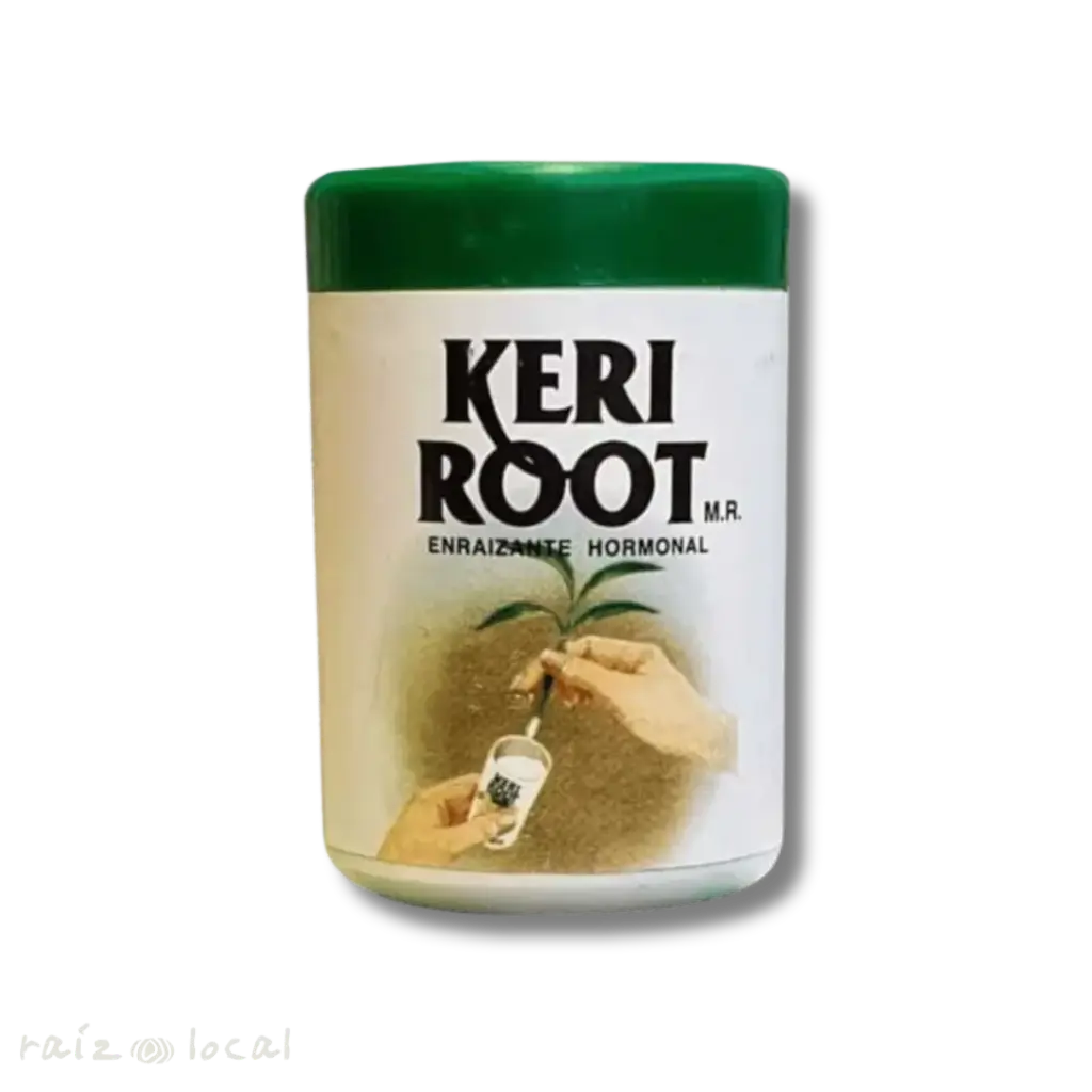 Keri Root1.webp