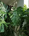 image_1920