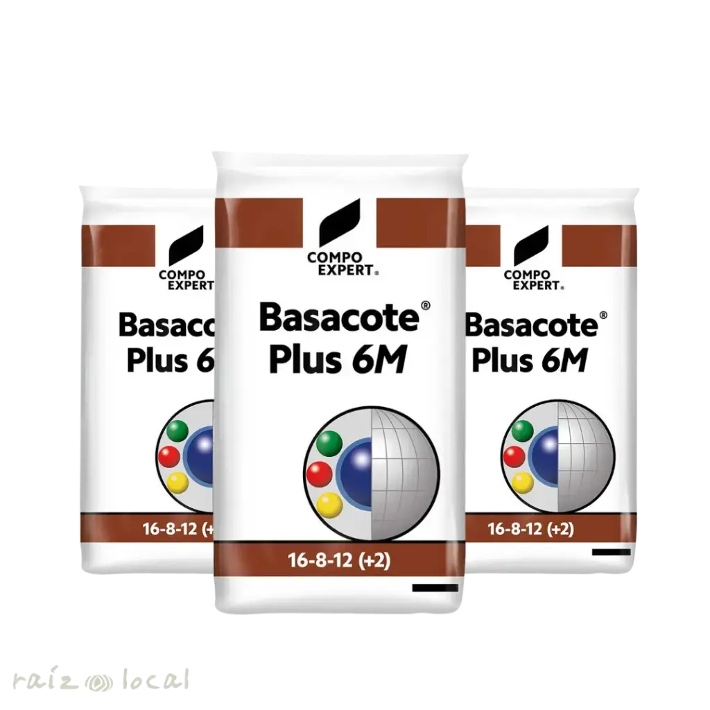 BASACOTE 6M1.webp