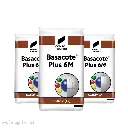 BASACOTE 6M1.webp