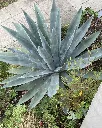 image_128
