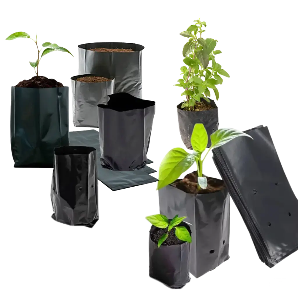 Bolsas Plasticas (3).webp