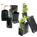 Bolsas Plasticas (3).webp