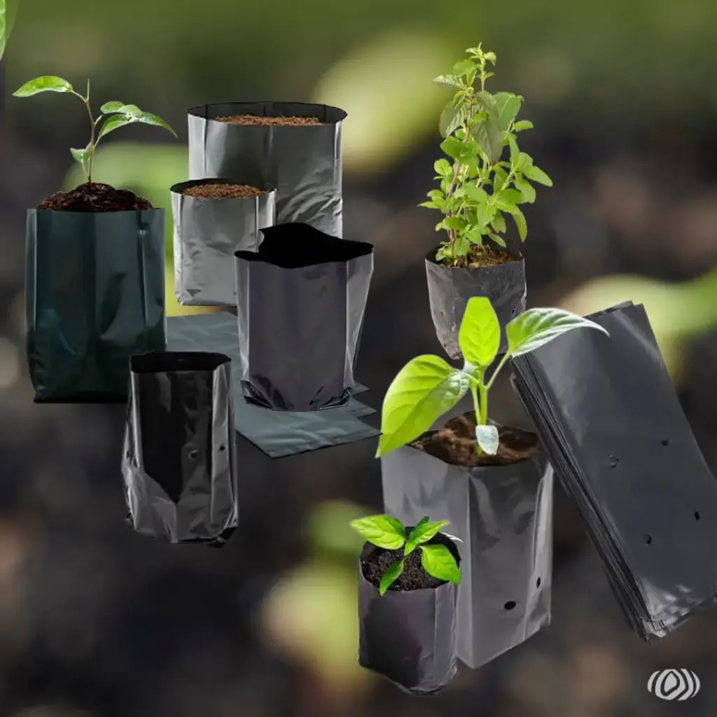 Bolsas Plasticas (2).webp