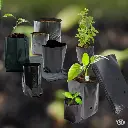 Bolsas Plasticas (2).webp