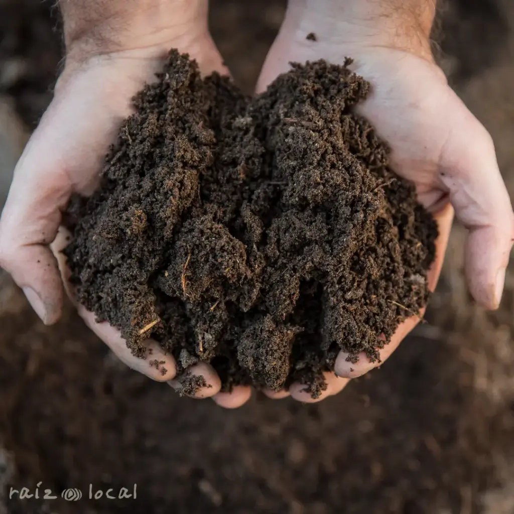 Tierra compost local.webp