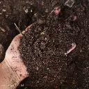 Tierra compost local (3).webp