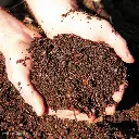 Tierra compost local (4).webp