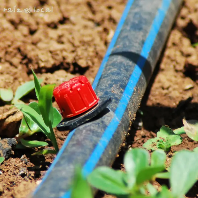 Gotero Regulable R70