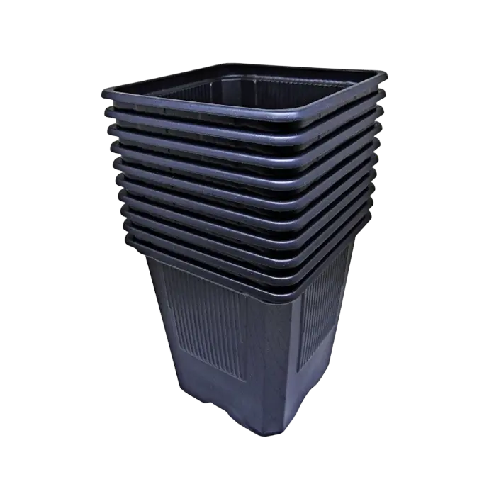 [VQB9X9X95NE] Macetero Cuadrado 9x9x9.5