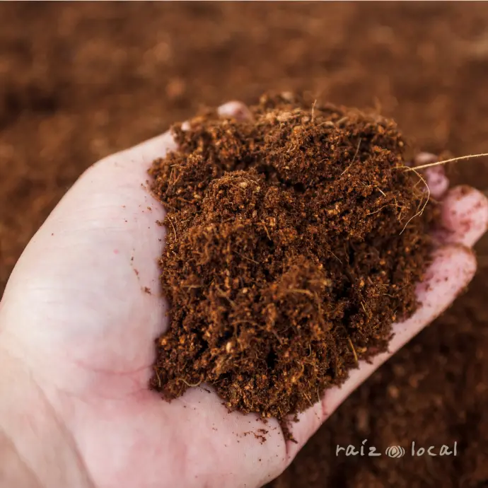 [RL00191] Tierra de Hojas