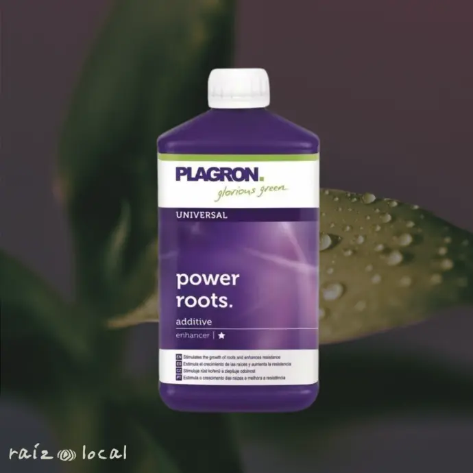 [RL00258] Enraizante Power Roots