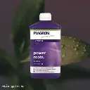 Enraizante Power Roots