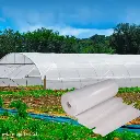 Plastico Invernadero