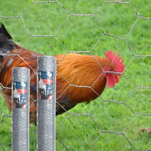 Malla Gallinero Galvanizada 50 MT