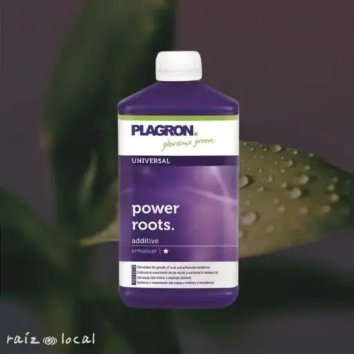 [RL00258] Enraizante Power Roots