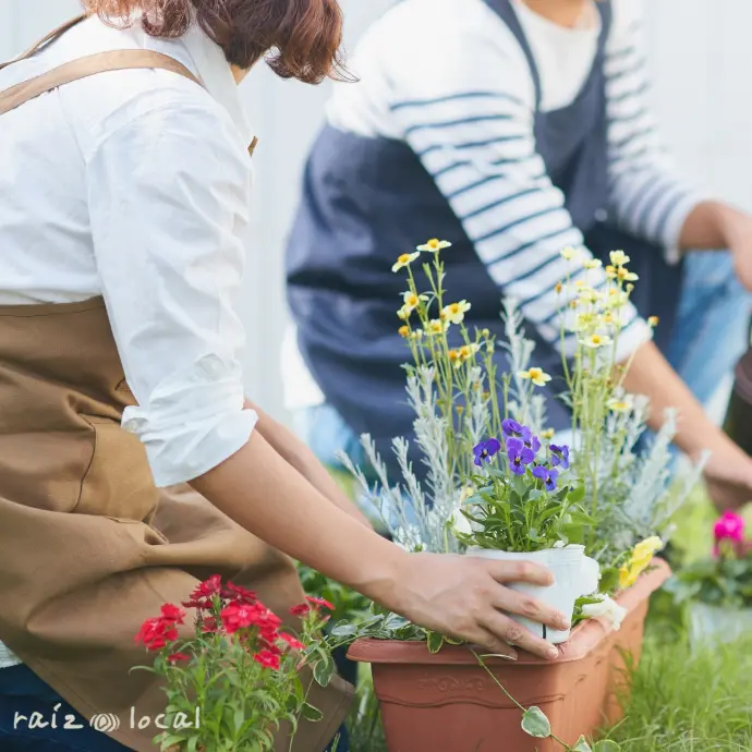 [SRL002] Diagnóstico Inicial Asesoría DIY